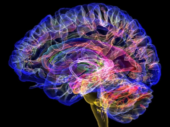 啪啪到深处黄网大脑植入物有助于严重头部损伤恢复
